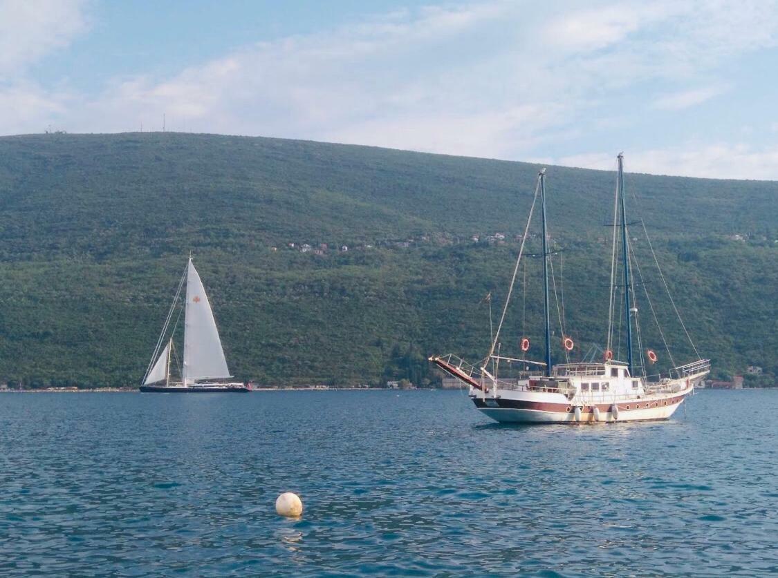 Vila Duricic 300M Od Mora 호텔 Ðenovići 외부 사진